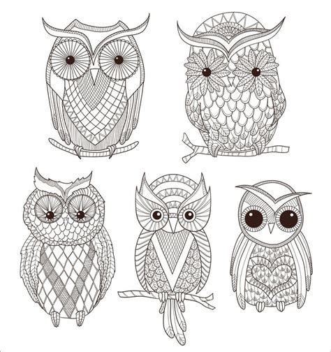 pin  kathy white  colouring owl coloring pages owls drawing owl