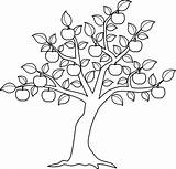Tree Apple Coloring Color Sheet Popular sketch template