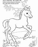 Coloring Horse Pages Print sketch template