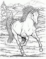 Coloring Horse Girls Pages Popular sketch template