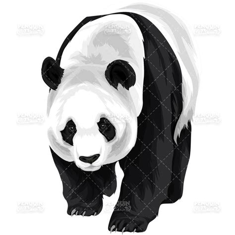 Cute Panda Version 5 Vector Clipart Illustration — Penguin Graphics