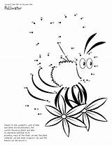 Bee Dots Connect Kids Connecting Clipart Dot Worksheets Coloring Pages Printable Fun Printables Fish Bees Colouring Worksheet Activities Sheets Complete sketch template