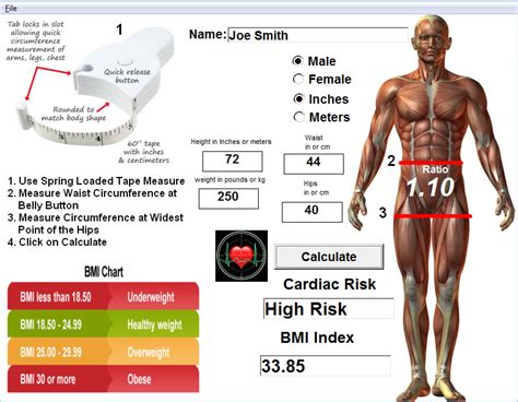 Waist Hip Ratio Calculator For Posture Pro Webstore By