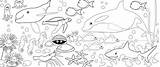 Sea Coloring Animal Under Pages Print Animals Sketches Kids Preschool Color Underwater Paintingvalley Coloringtop Template sketch template