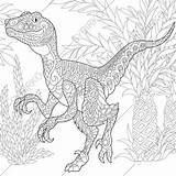 Allosaurus Splendid Coloringpagesonly sketch template