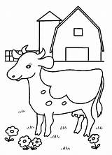 Cow Printable Coloring Template Pages Kids Popular sketch template