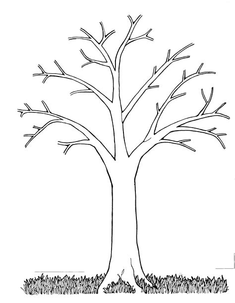 mormon share tree bare tree coloring page leaf coloring page