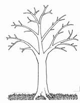 Tree Coloring Bare Outline Fall Colouring Pages Choose Board Clipart Leaves Kids Sheets sketch template