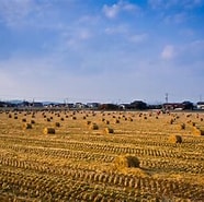 Image result for 茨城県筑西市. Size: 186 x 185. Source: triipnow.com