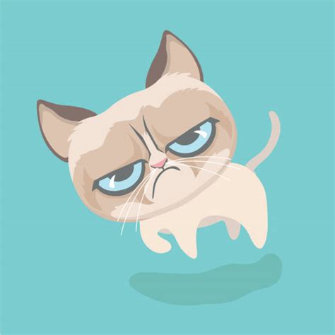 Grumpy Cat Illustrations Royalty Free Vector Graphics