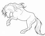 Coloring Horse Pages sketch template