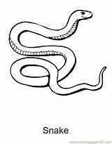 Snake Coloring Pages Scary Getdrawings sketch template