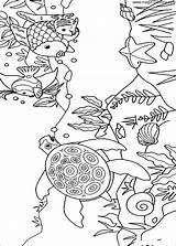 Coloring Fish Magic Turtle sketch template