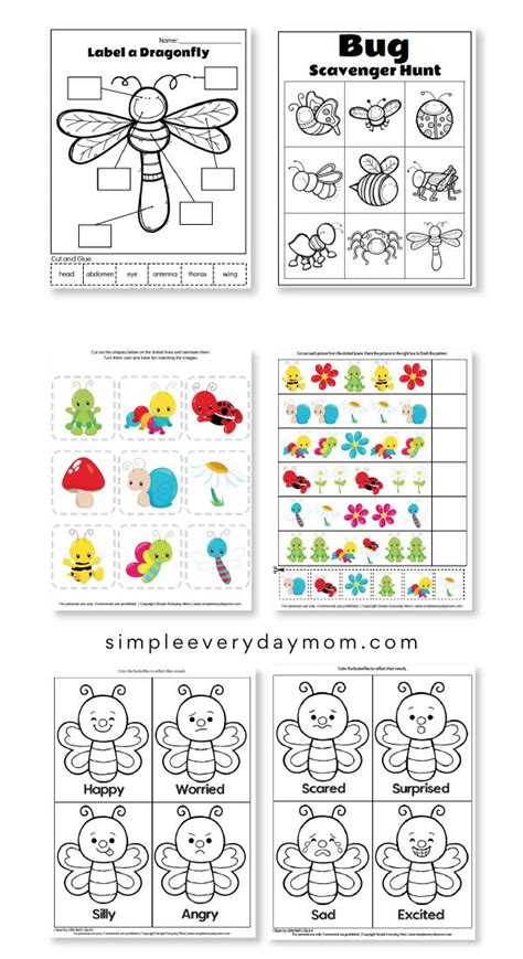 printable preschool bug activities  kids preschool craft