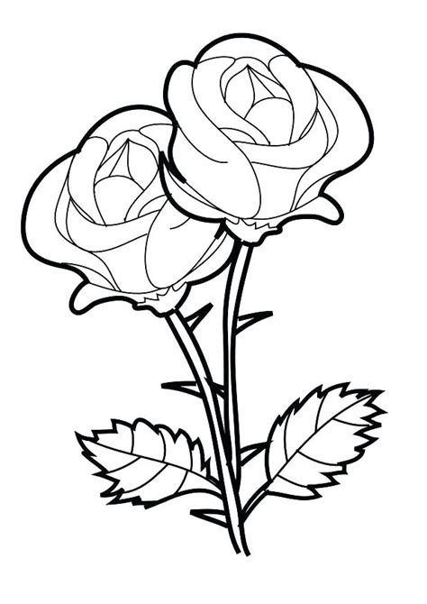 rose bouquet coloring pages  getcoloringscom  printable