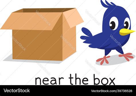 preposition  place bird   box royalty  vector