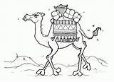 Coloring Camel Caravan Pages Comments Draw sketch template