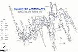 Cave Caverns Carlsbad Canyon Slaughter Map Maps Caves Real Tour Npmaps Lpt Look Deemed Else Could Osr Props Where Route sketch template