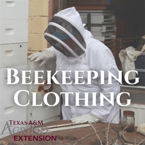 Beekeeping 101 Classes Urban Program Bexar County