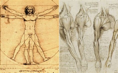 10 Interesting Leonardo Da Vinci Facts My Interesting Facts
