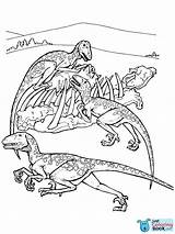 Dana Viewed Users Deinonychus Dinotren Coleccin sketch template