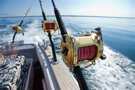 deep sea fishing pura vida lodge