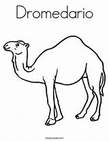 Coloring Camel Dromedario Brown Twistynoodle Noodle Favorites Login Add Print sketch template