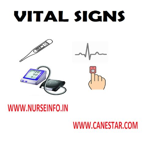 vital signs temperature pulse rate respiration rate  blood