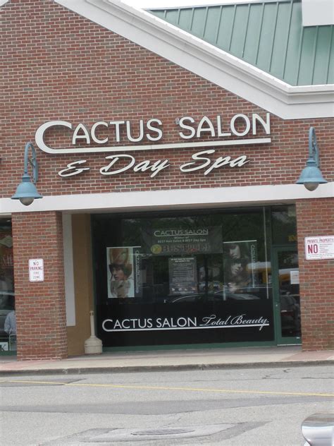 summer hair care tips  cactus salon stylists commack ny patch