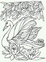 Swans Quilling Chispis sketch template