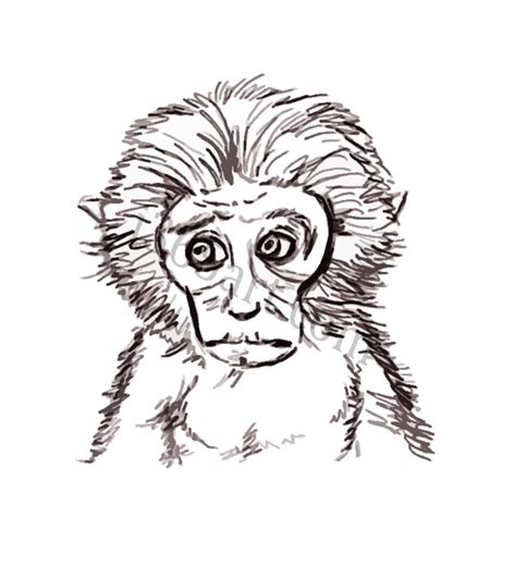 monkey drawing iart