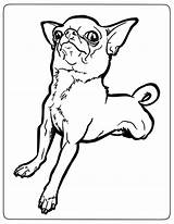 Chihuahua Coloring Pages Dog Kids Funny Chihuahuas Puppy Easy Drawing Bestcoloringpagesforkids Drawings Choose Board sketch template