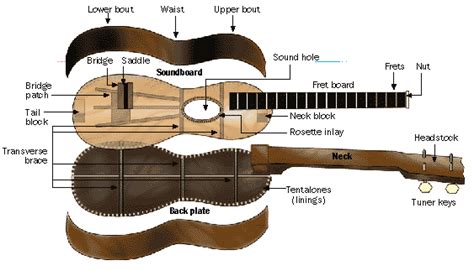 ukulele oldies anatomy