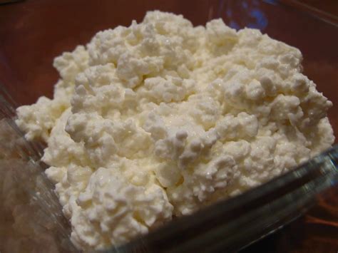 cooking  scratch cottage cheese