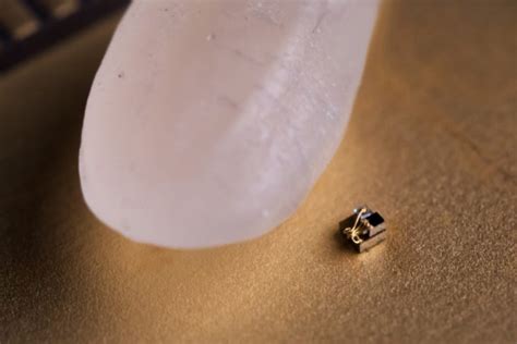 worlds smallest computer  dwarfed   grain  rice photo web top news