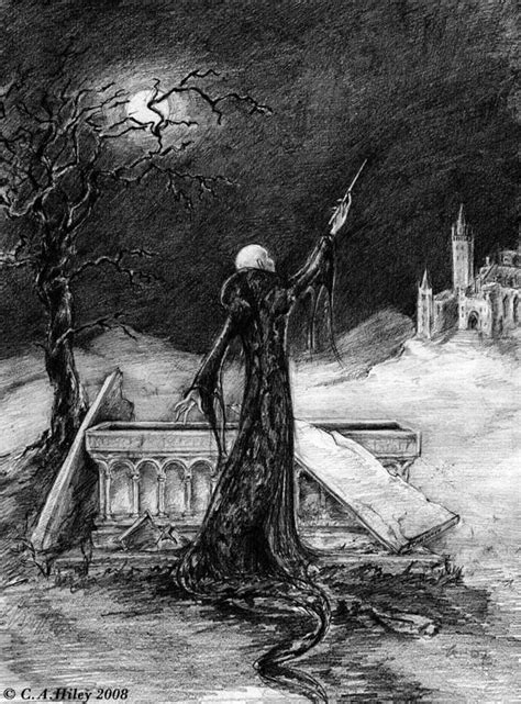 Voldemort And The Elder Wand Harry Potter Fan Art