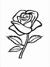 Rose Coloring Pages Easy Flower Stencil Printable Drawing Choose Board sketch template