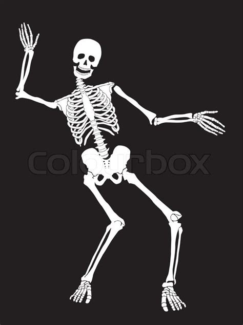 Funny Vector Skeleton Isolated Over Black Halloween