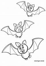 Fledermaus Fledermäuse Malvorlage sketch template