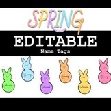 spring  tags worksheets teaching resources tpt