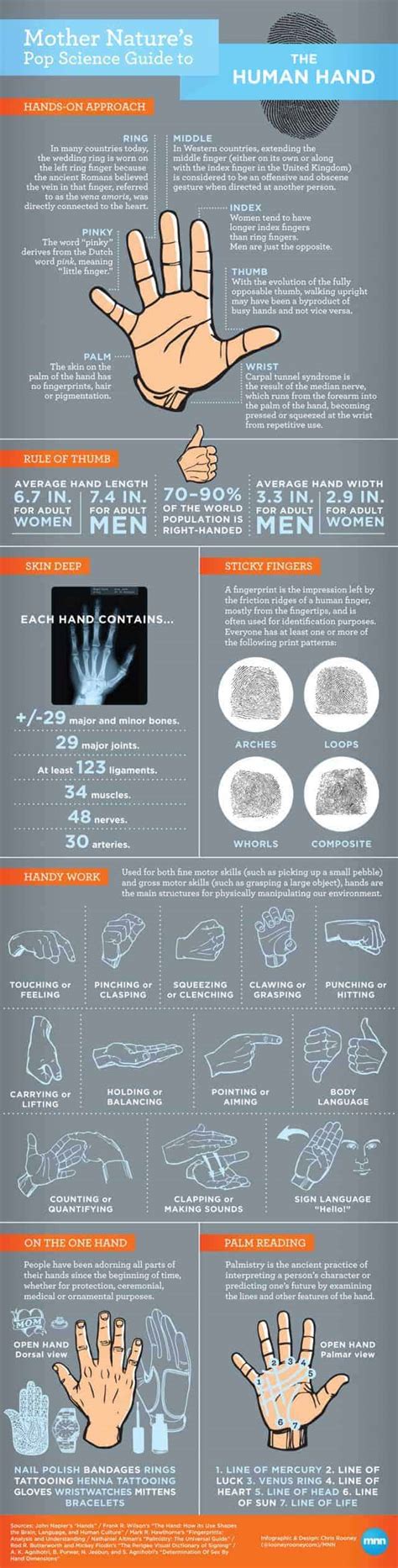 The Human Hand Daily Infographic