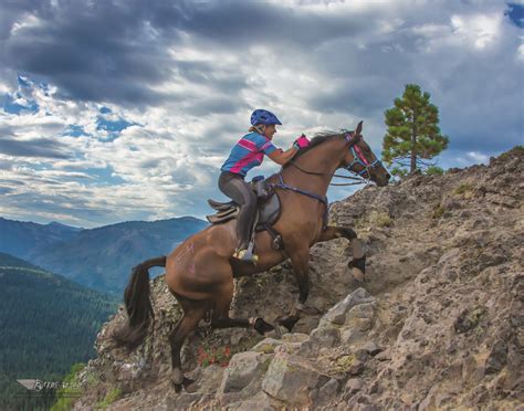 endurance riding    northwest horse source
