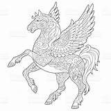 Pegasus Einhorn Pferd Erwachsene Malvorlage Pferde sketch template