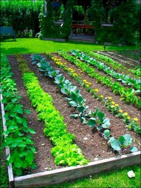 16 Large Backyard Vegetable Garden Ideas You Should Check Sharonsable