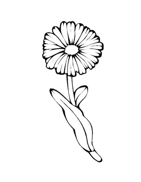 daisy coloring pages  coloring pages  kids flower coloring