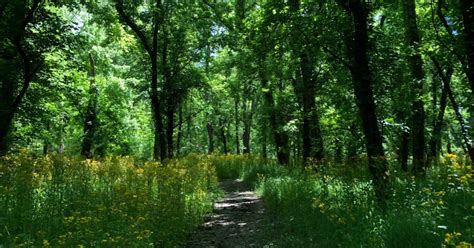 missouri state parks open  camping  weekend