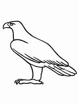 Aquila Reale Aguila Aigle Aguilas águila Steinadler Aquile Disegnare Stampare Coloriages sketch template