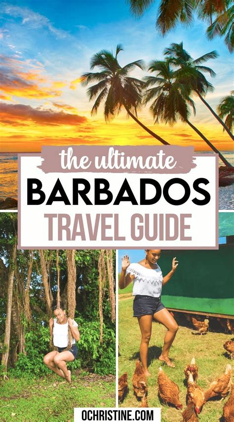 the best barbados vacation guide what to do in barbados artofit