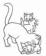 Katzen Katzenbabys Besuchen Malvorlagen sketch template