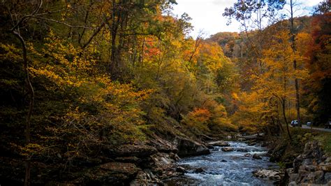 fall colors photographers explore east tennessees autumn landscape